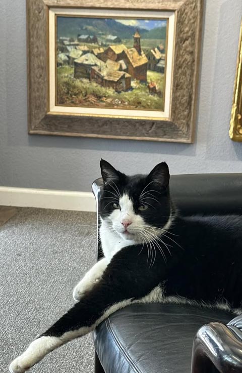 Snowball, putting in his time at Bodega Bay Heritate Gallery