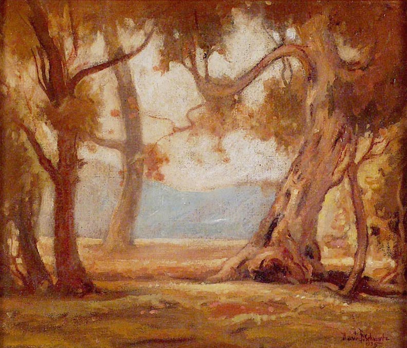 _Live_Oak_Trees
