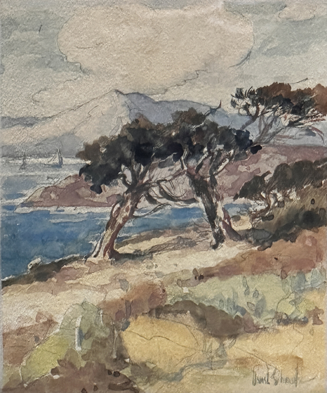 Davis Francis Schwartz, Sailing on San Francisco Bay