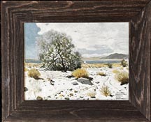 James Swinnerton, Desert Ironwood in Bloom, vintage print with barnboard frame