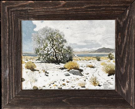James Swinnerton, Desert Ironwood in Bloom, vintage print with barnboard frame