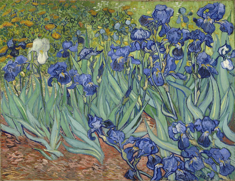 Vincent Van Gogh, Irises 1889, The Los Angeles County Museum of Art, Los Angeles, CA