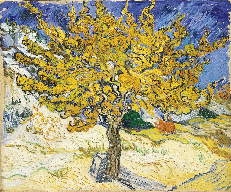 Vincent Van Gogh, The Mulberry Tree 1889, The Norton Simon Museum, Pasadena, CA