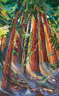 Redwoods
